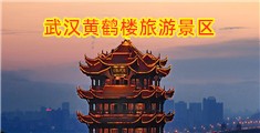 日鼻鼻网站
